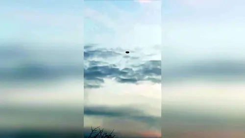 Paranormal Videos S01E12 Une chasse au bigfoot