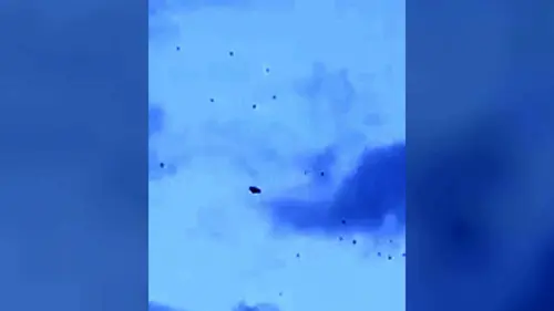 Paranormal Videos S01E16 La poupée démoniaque