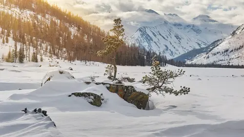 Paranormal Videos Terreur dans la toundra
