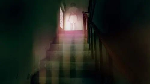 Paranormal Videos Créature de l'ombre