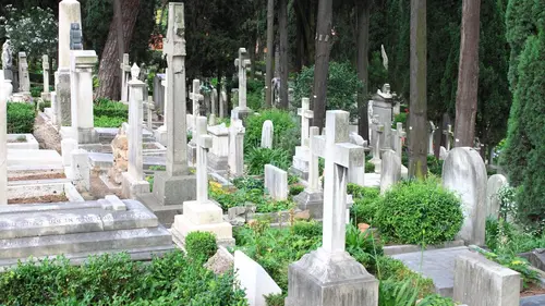 Paranormal Videos Sasquatch sortant du bois