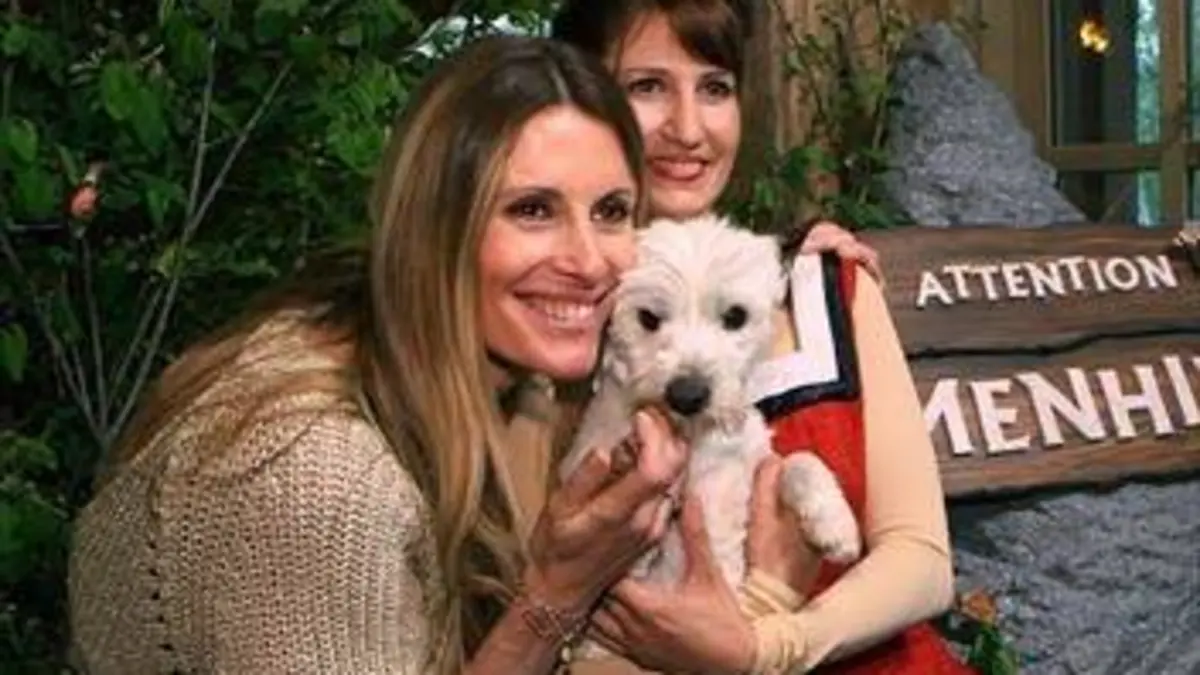 Casting Parc Astérix : les secrets d'un succès français