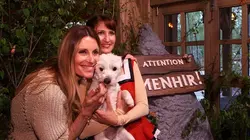 Visuel de Parc Astérix : les secrets d'un succès français