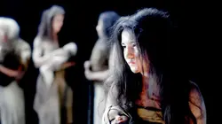 Parentalité collective, une clé de l'évolution