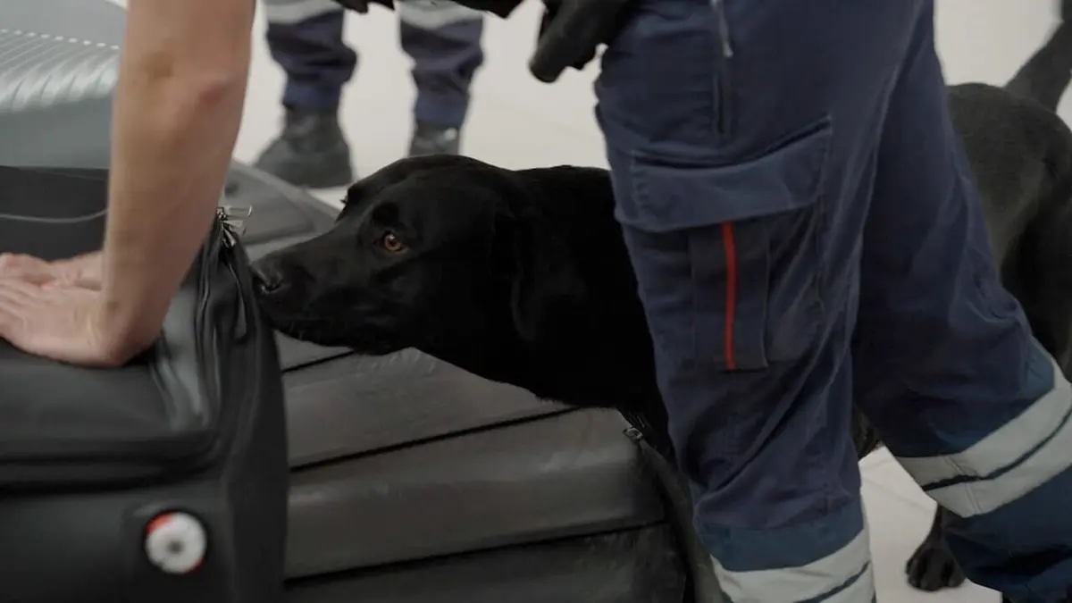 Paris CDG : le plus grand aéroport d'Europe