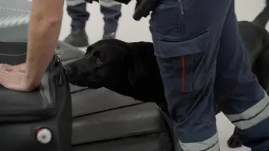 Paris CDG : le plus grand aéroport d'Europe