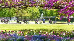 Paris côté jardins