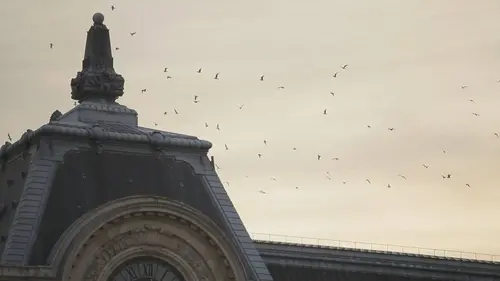 Paris côté sauvage