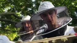 Paris, un jardin pour les abeilles