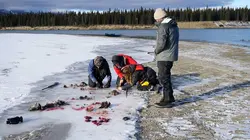 Parker Schnabel : un destin en or Récit de voyage