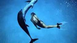 Visuel de Parle avec les dauphins