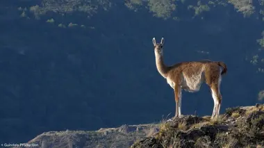 Parque Patagonia