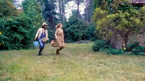 Parties carrées campagnardes