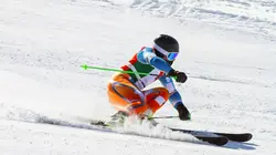 Partis skier