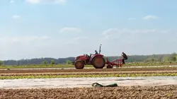 Pas de repos pour Marco