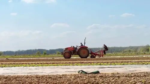 Pas de repos pour Marco
