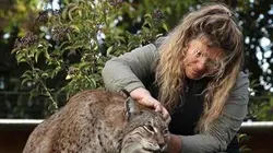 Visuel de Pas si sauvages...