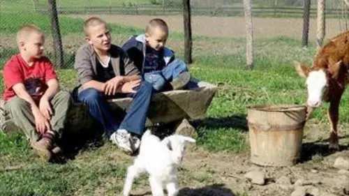 Passe me voir ! Filip et la ville noire