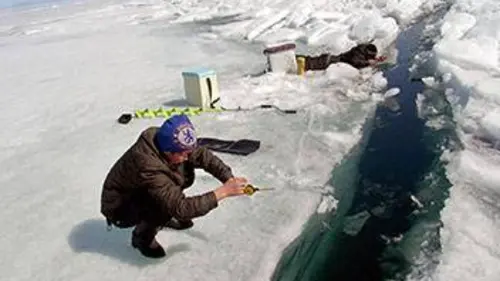 Passe me voir ! Boris et les bébés phoques du lac Baïkal
