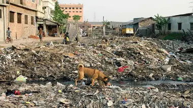 Ridoy, le prix des chaussures de foot