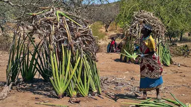 Maiya et Maua : vivre dans le désert