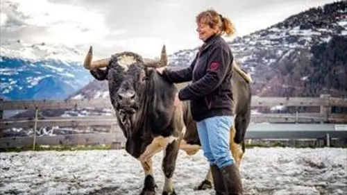 Passe-moi les jumelles Lili et Marcel