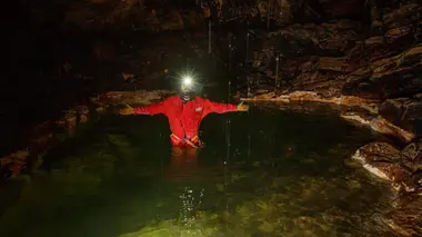 Passe-moi les jumelles