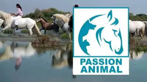 Passion animal 117