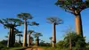 Madagascar, les trésors de l'île rouge