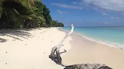 Passion outre-mer Grand format : Wallis-et-Futuna, seuls au monde