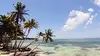 Episode 12 : Cap sur les Antilles