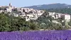 Passion Provence