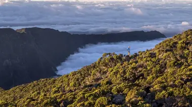 A musical journey on the silk route #1