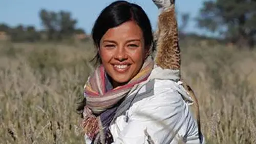 Passions animales E02 Parades et coups de foudre