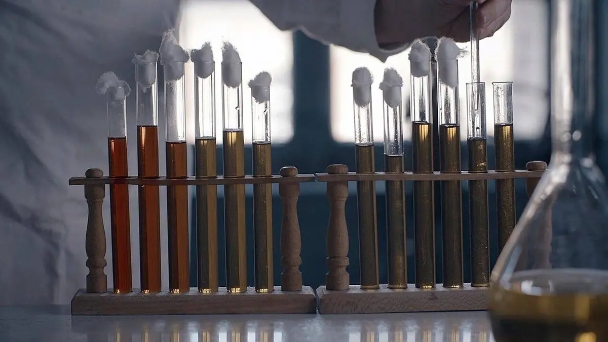 Pasteur et Koch : Un duel de géants dans le monde des microbes