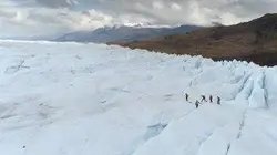 Visuel de Patagonie, dans le sillage des baleines