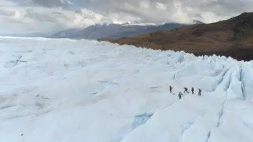 Patagonie, dans le sillage des baleines