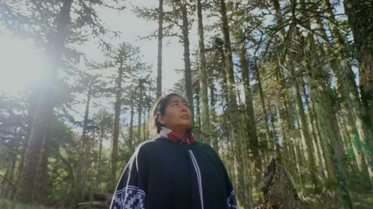 Patagonie la vie au bout du monde Le Sud lointain
