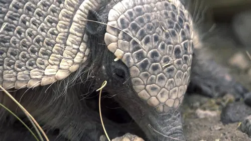 Patagonie, maîtresse du temps