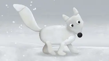 Bou le renard polaire