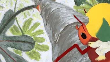 Le Cécropia
