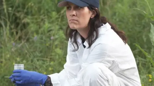 Audiences TV : Patricia Cornwell : Tolérance zéro