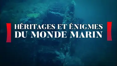 Le coelacanthe, sortie des eaux