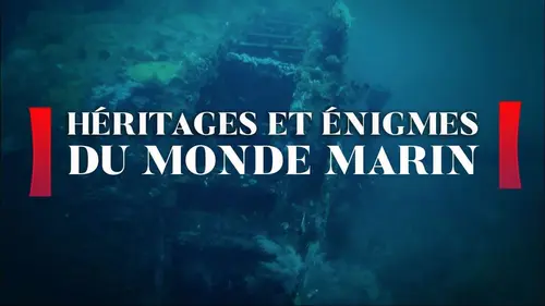 Patrimoine et énigmes du monde marin
