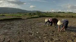 Visuel de Patrimoine immatériel : chef-d'oeuvre de l'humanité