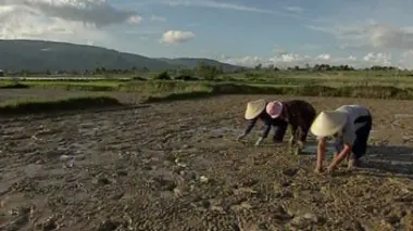 Ma Bio, sur le chemin des gongs