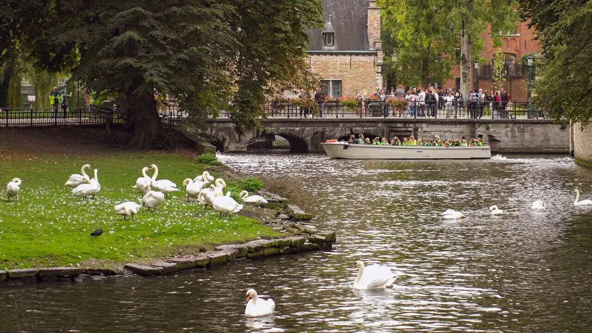 Patrimoine mondial de l'Unesco : Trésors culturels Bruges