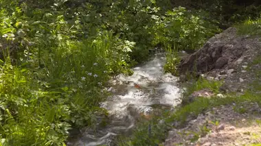 Eaux douces et nourricières