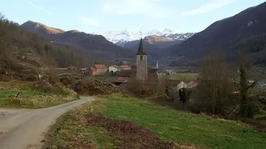 Des hommes et des bêtes