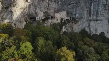 L'esprit des forêts